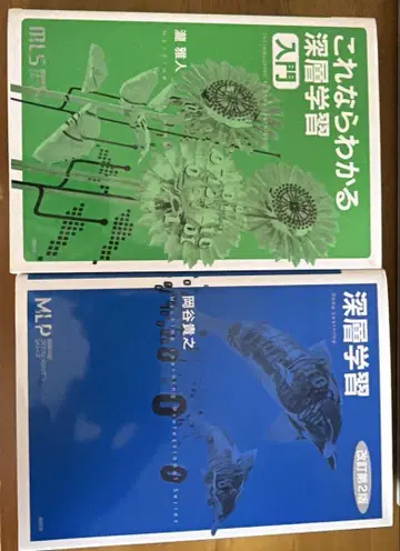 심층 학습