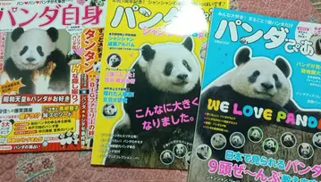 팬더피아 팬더 자신
