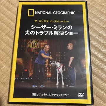 시저 밀라노의 개 트러블 해결 쇼 DVD 새상품급