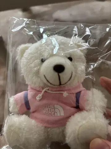 THE NORTH FACE 핑크 곰