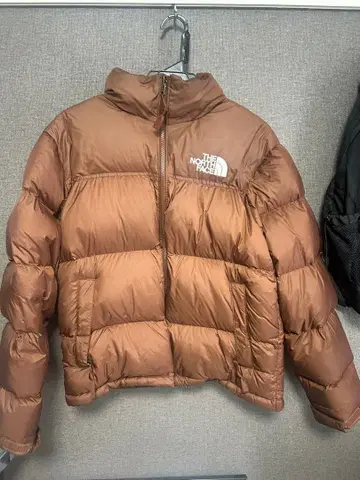 The North Face nuptse 1996 down jacket