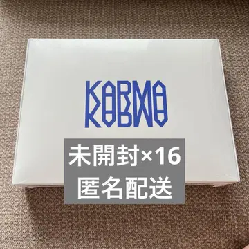 Stray Kids 스키즈 karma 일반ver 16개
