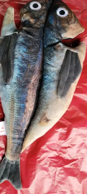 전갱이 껍질 복권 봉제 인형