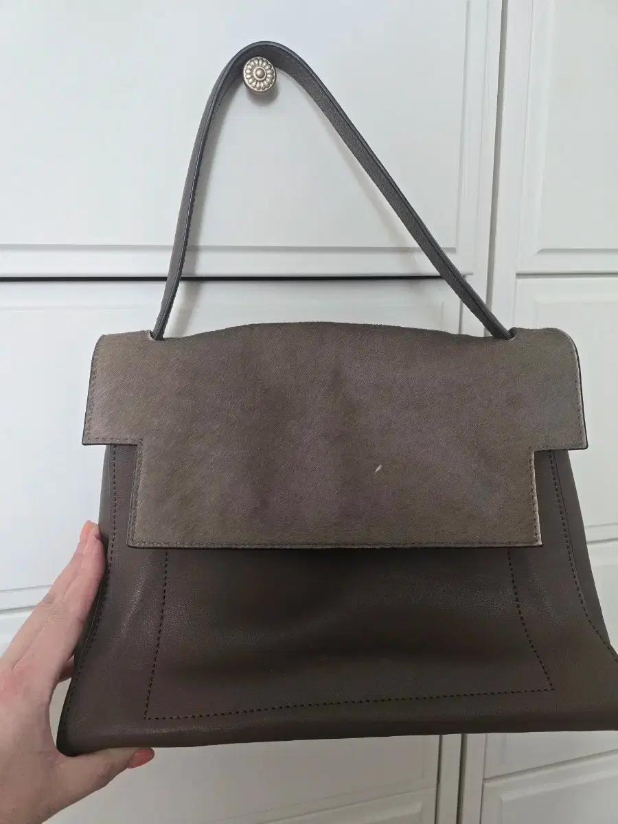 Lizard leather tote bag, imported from Italy. Lining has stains.