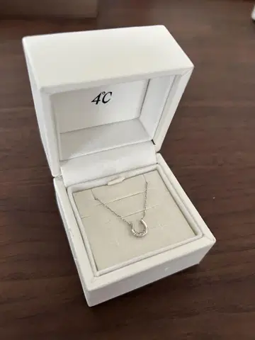 4C 10금 WG와 다이아몬드 목걸이 행복을 부르는 호스슈 모티브