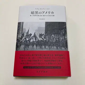 암흑의 미국 : 제1차 세계 대전과 궁지에 몰린 민주주의