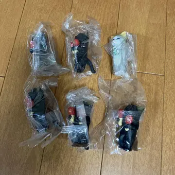하나부사 사쿠라 고양이 음악회