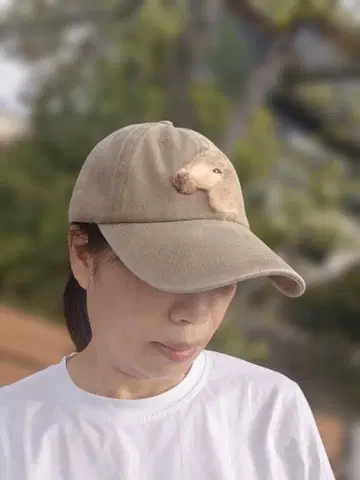 야구 모자 말 포니 펠트