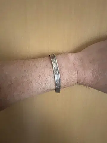 모건 코인 뱅글 은화