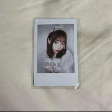 사쿠라바 하루카 생일 축하 폴라로이드