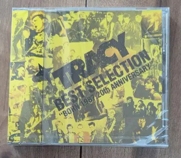 미개봉 새상품 TRACY BEST SELECTION 트레이시 팬가스