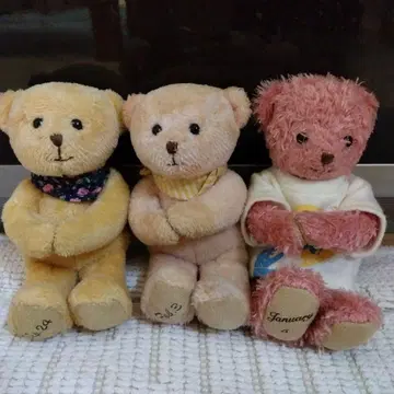 곰 봉제 인형 3개 세트
