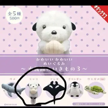 수족관의 생물 봉제 인형