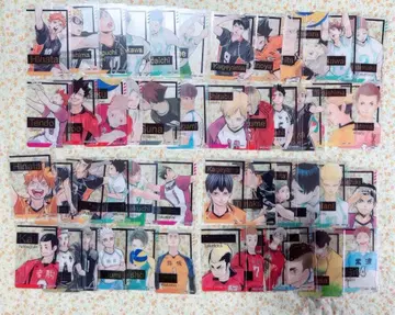 하이큐 팬파크 금박 클리어 카드 컬렉션 전종 세트 크리카