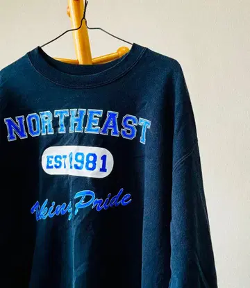 NORTHEAST EST1981 바이킹 프라이드 구제 맨투맨