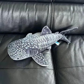 진베이 상어 봉제 인형 오키나와 츄라우미 수족관