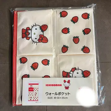 산리오 헬로키티 이치고만 월 포켓 아베일