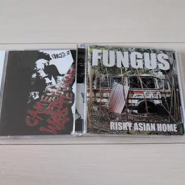 FUNGUS RISKY ASIAN HOME 2장 세트