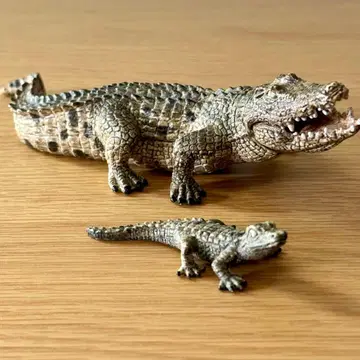 슐라이히 악어 부자 파충류