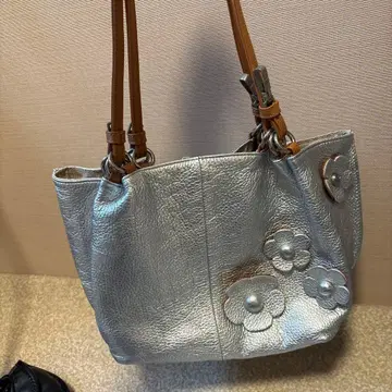 로베르토 카발리 실버 백