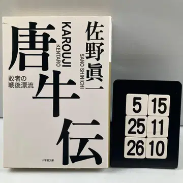 당우전 패자의 전후 표류 5-15*25.26*10