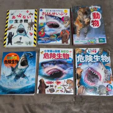 도감 세트 위험 생물 동물 DVD 포함