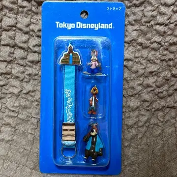 미개봉 새상품 레어 Tokyo Disneyland 스플래쉬 마운틴 스트랩