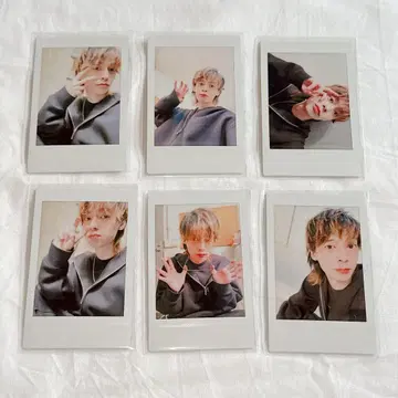 쿠리하라 타이거 폴라로이드