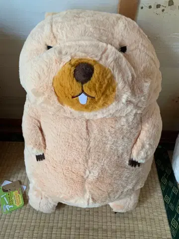 마모트의 모토토모아 울트라 BIG 봉제 인형 보바군