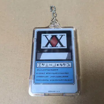 HUNTER x HUNTER 클리어 패스 케이스 헌터 라이선스