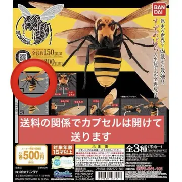 생물대도감 말벌 왕말벌