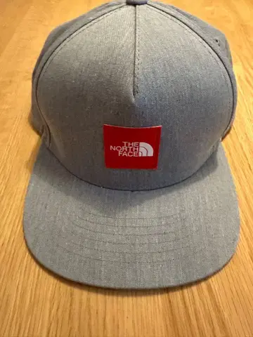 THE NORTH FACE 그레이 캡