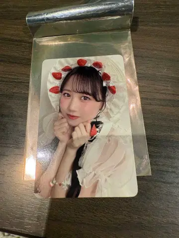 라르무 페스티벌 마츠모토 트레이딩 카드