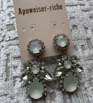 Apuweiser-riche 귀찌