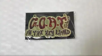 KEY LAND 백참 키링
