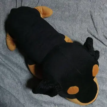 THE DOG 강아지 봉제 인형 블랙과 브라운 닥스 편