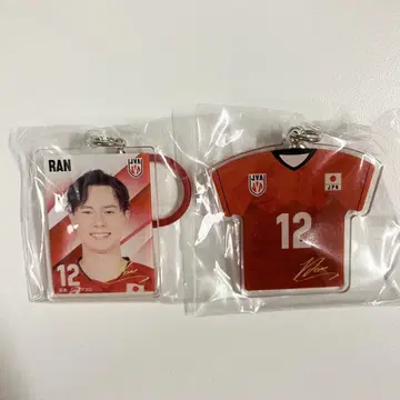 배구 남자 일본 대표 메지루시 참 타카하시 란