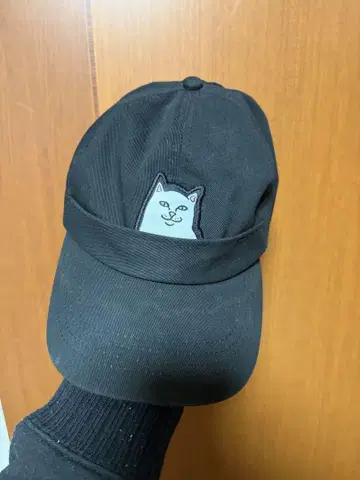 RIPNDIP 고양이 자수 블랙 캡