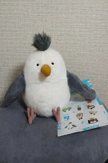 새상품 신상 jellycat Chip seagull 새 갈매기