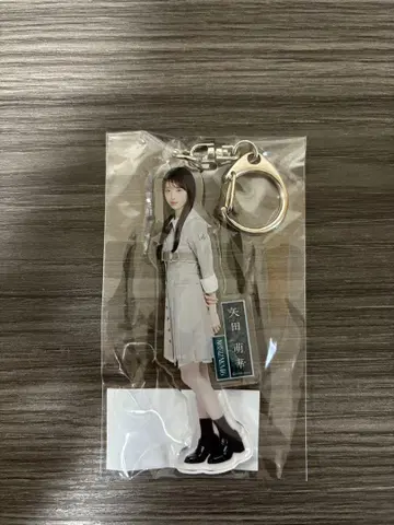 노기자카46 야타 모에카 아크릴 키링