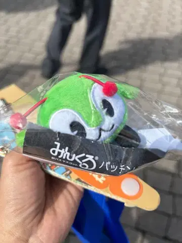 민크루 파친 밴드