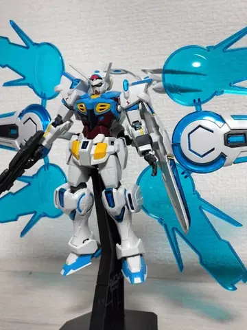 HG G셀프 퍼펙트 팩