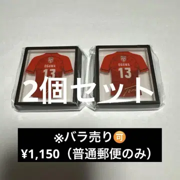 배구 남자 일본 대표 마그넷 오가와 세트