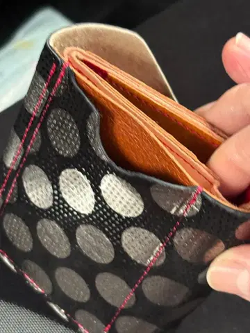 도트 무늬 미니 지갑