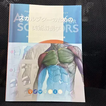 스컬프터를 위한 미술 해부학