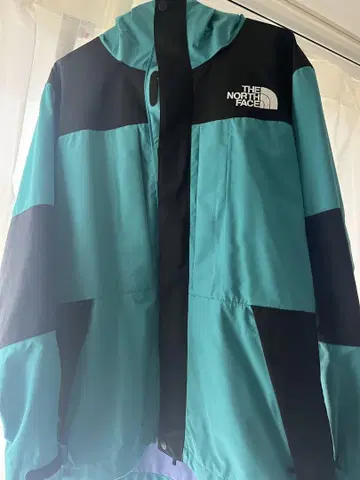 THENORTHFACE BEAMS 마운틴 후드티