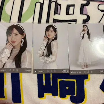 노기자카46 카와사키 사쿠라 육교 컴프
