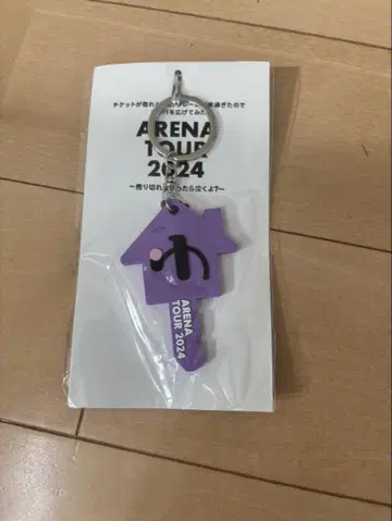 ARENA TOUR 2024 유린치 키링