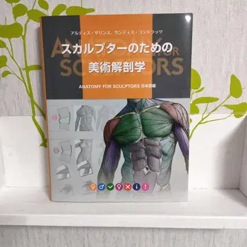 스컬프터를 위한 미술 해부학