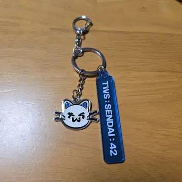 TWS JAPAN 투어 로컬 키링 센다이 SENDAI